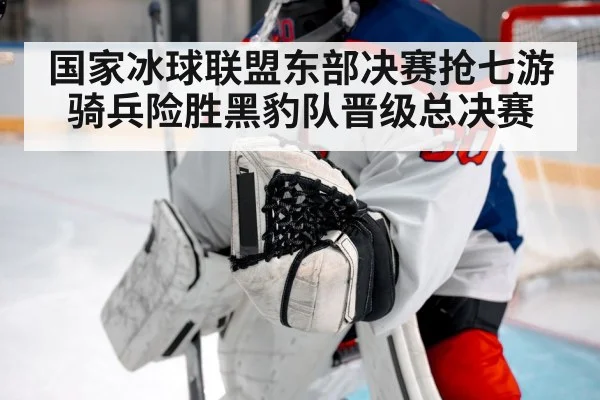 国家冰球联盟东部决赛抢七游骑兵险胜黑豹队晋级总决赛
